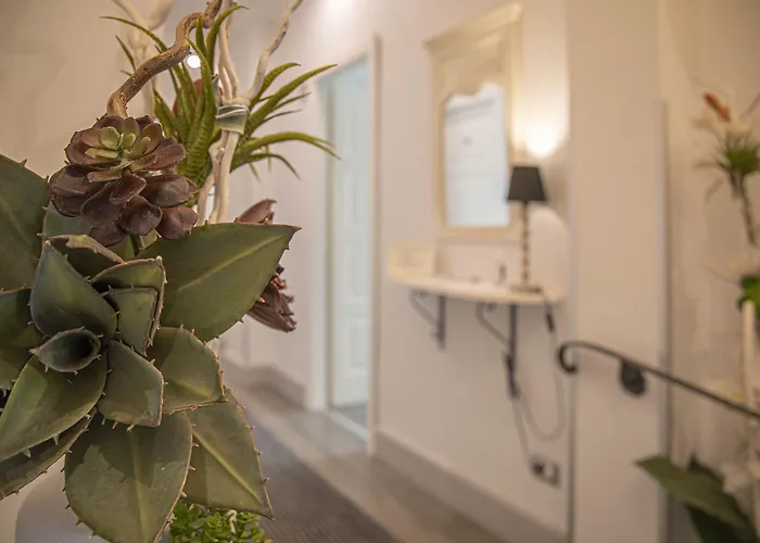 Domus Castrense Bed & Breakfast