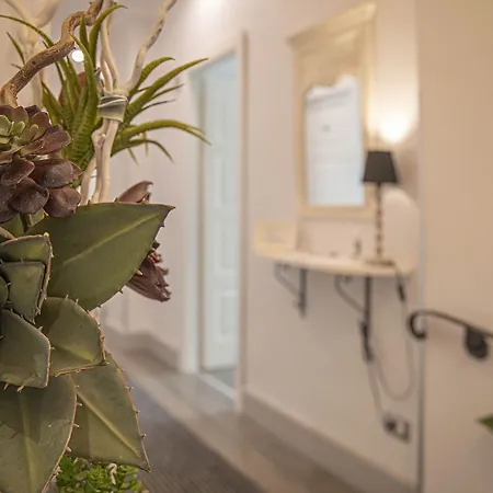 Bed & Breakfast Domus Castrense Rom